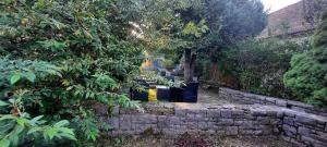 B&B / Chambres d'hotes Les Vagabonds du Mont : photos des chambres