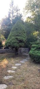 B&B / Chambres d'hotes Les Vagabonds du Mont : photos des chambres