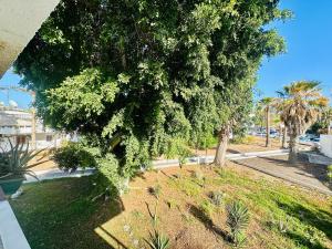 Apartamento Eureka Costa Del Silencio