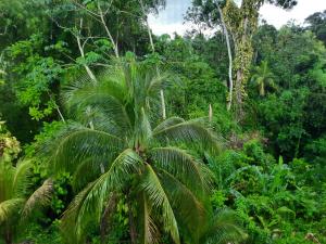 The New Mount Pleasant JA