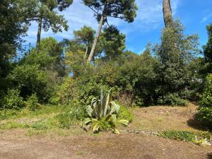 Villas Filatte : photos des chambres