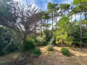 Villas Filatte : photos des chambres