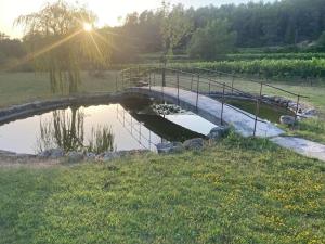 Appartements Chateau deMappe Villa #9 a Lorgues : photos des chambres