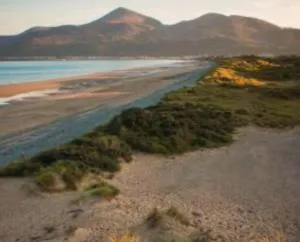 Waterfoot Coastal Getaway - 纽卡斯尔