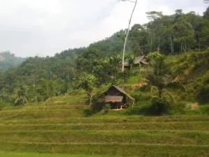 RMH88 Stationery Store - 贝克西