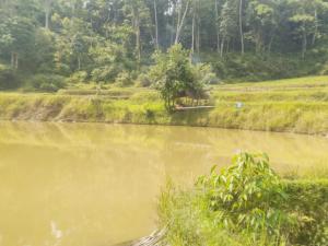 RMH88 Stationery Store