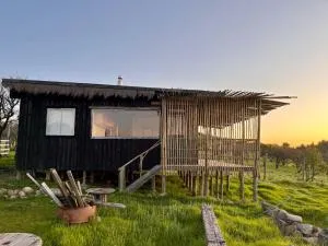 Cabañas Cerro de Talca - 马乌莱