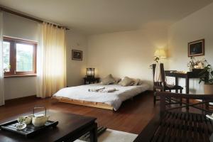 Phòng Giường Đôi/2 Giường Đơn Nhìn Ra Núi (Double or Twin Room with Mountain View)