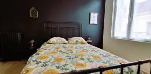 Histoire de Loire - BALZAC - Allonnes