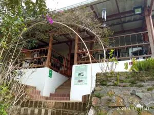 Ágora Manantial - Felidia