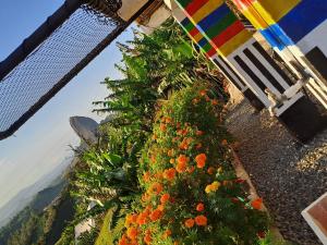 Chalet de Liz - Guatapé