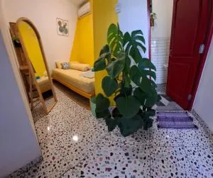 The Backyard Hostel - Timuran