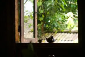 Bluebird - Cozy Indigo Home - Sa Pả