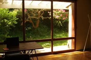 湊庵 路考茶-so-an rokocha- - Shimo-sagano