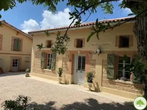 Gite de campagne - Vue Pyrénées - Piscine - Saint-Frajou