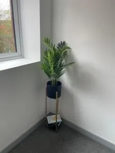 Stylish City-Centre 1-Bed Flat - Upper Penn