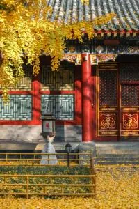 Time Traveller Hotel - Near Prince Gong's Mansion, Beihai Park, Tian'anmen Square, Nanluoguxiang Hutong, Huguosi Hutong Snack Street, 5 minutes walk away from Ping'anli Subway Station, Free ice cream and laundry service,English communication well - Beijing