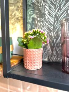 Appartements Le 101 appartement dans charmant village parking facile : photos des chambres
