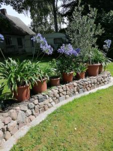 Ferienwohnung 1 Landhaus Thätner