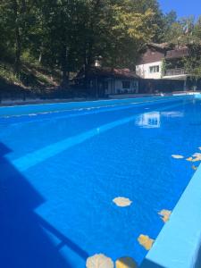 Рибарник Forest Мagic