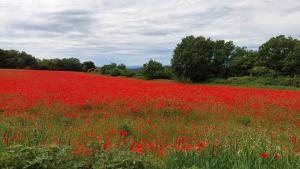 Chez Mi-Chèle - 3hvězdičkové hotely ve městě La Garde-Adhémar
