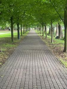 Apartament w Welskiej Kamienicy