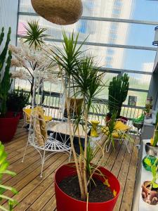 Appartements Loft atypique 130 m2 Clim patio couvert et terrasse PKG tram a 5mn a pied un acces direct au centre-ville : photos des chambres