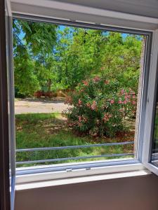 Larissa Apartman Zadar