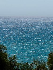 Casa Barca - Luxury Apartment