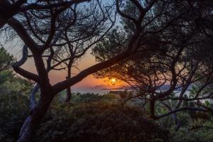 B&B / Chambres d'hotes Villa Hippocampe : photos des chambres