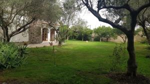 Il giardino di FraFa img8