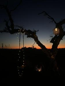 Monte Das 7 Oliveiras