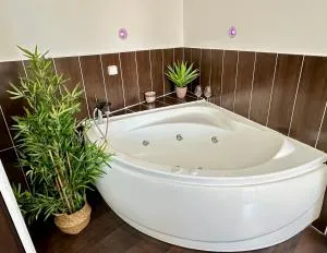 L'Amazonite - 勒博塞