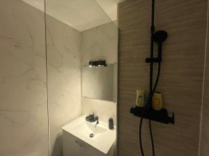 Appartements Le Petit Cozy - T2 en centre-ville : photos des chambres