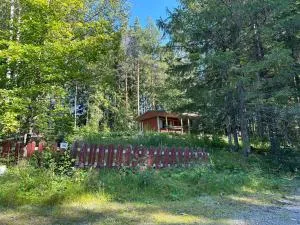 Villa vappu - Suonenjoki