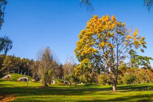 LVM dabas parka glempings