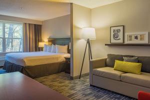 1 King Studio Suite Non-Smoking room in Country Inn & Suites by Radisson Doswell (Kings Dominion) VA