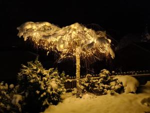 Superior One-Bedroom Apartment with Balcony