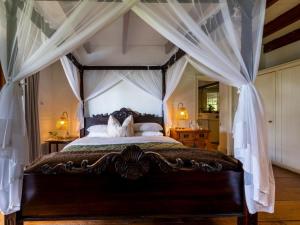 Belle Balance Bush Lodge