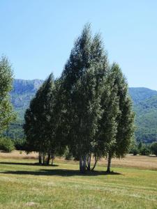 Chalet with Barbecue in Brezna