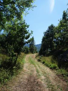 Chalet with Barbecue in Brezna