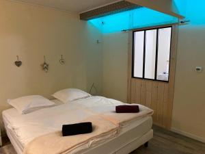Maisons de vacances Le Grand Charlyse, de 1 a 10 personnes : photos des chambres