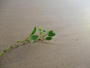 2 Lofts com piscina privativa para 4 pessoas a 5 min da praia