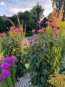 Vegas Hriňová Penzión