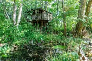 The Treehouse at Castle Cottage - Heyshott