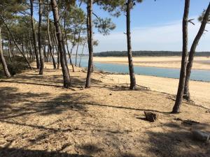 À 2 pas de plage et commerces, jardin & parking