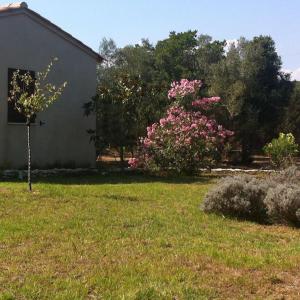 Villas villa soleluna, villa de charme, lumineuse et cosy : photos des chambres