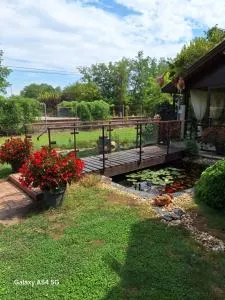 Neon2 - Vendégház - بيكيسزينتاندراس