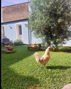 B&B Il Borgo delle Emozioni img29