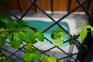 Kayyath Valley Munnar - Luxury 4BHK Hillside Sanctuary